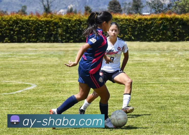 沙巴体育平台APP 体育赛事宣传图